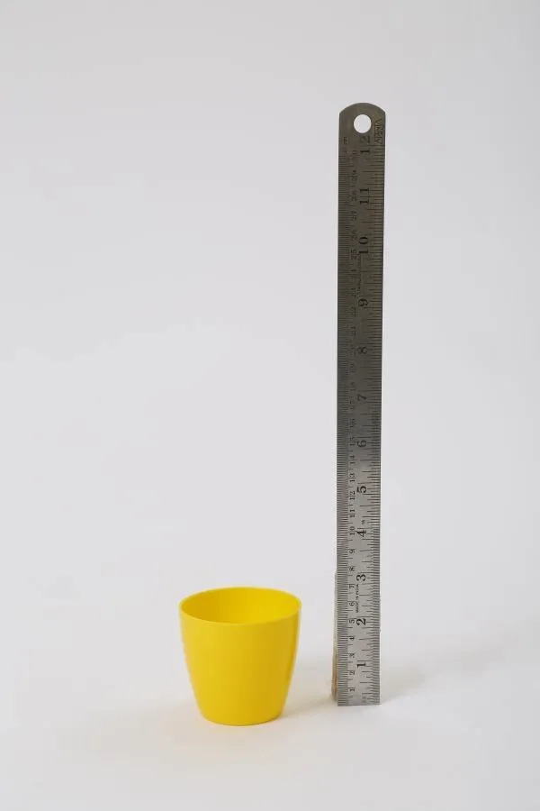 2.5 Inch Yellow Singapore Pot (67mm)