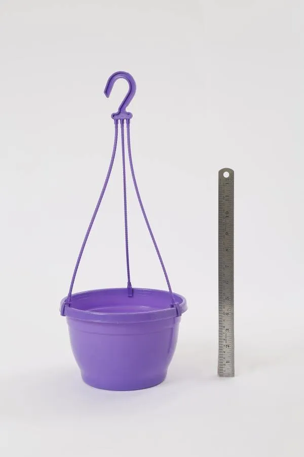 8 Inch Hanging Pot Violet