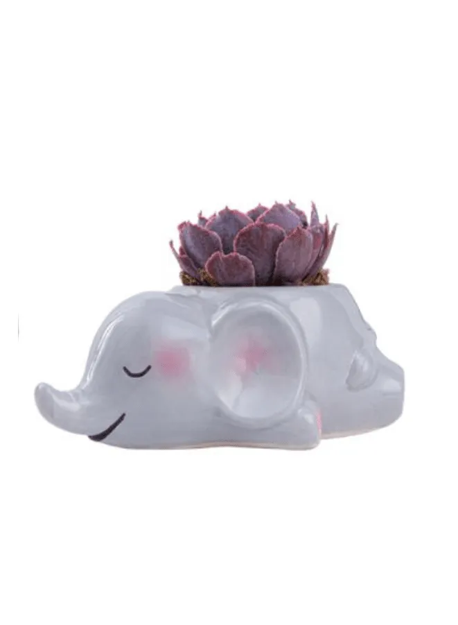 Cute Indoor Plant Pot, Succulent Pots with Drainage Hole, Elephant