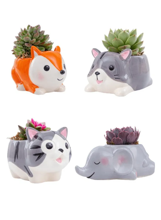 Cute Indoor Plant Pot, Succulent Pots with Drainage Hole, Elephant