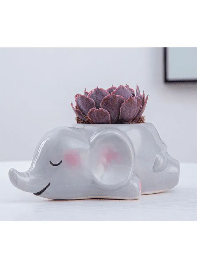 Cute Indoor Plant Pot, Succulent Pots with Drainage Hole, Elephant