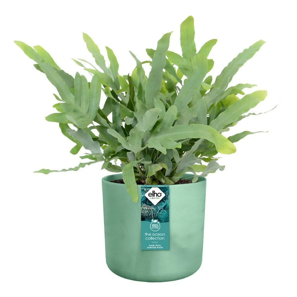 Elho Ocean Collection Pacific Green Recycled Waste Round Indoor Pot 14cm