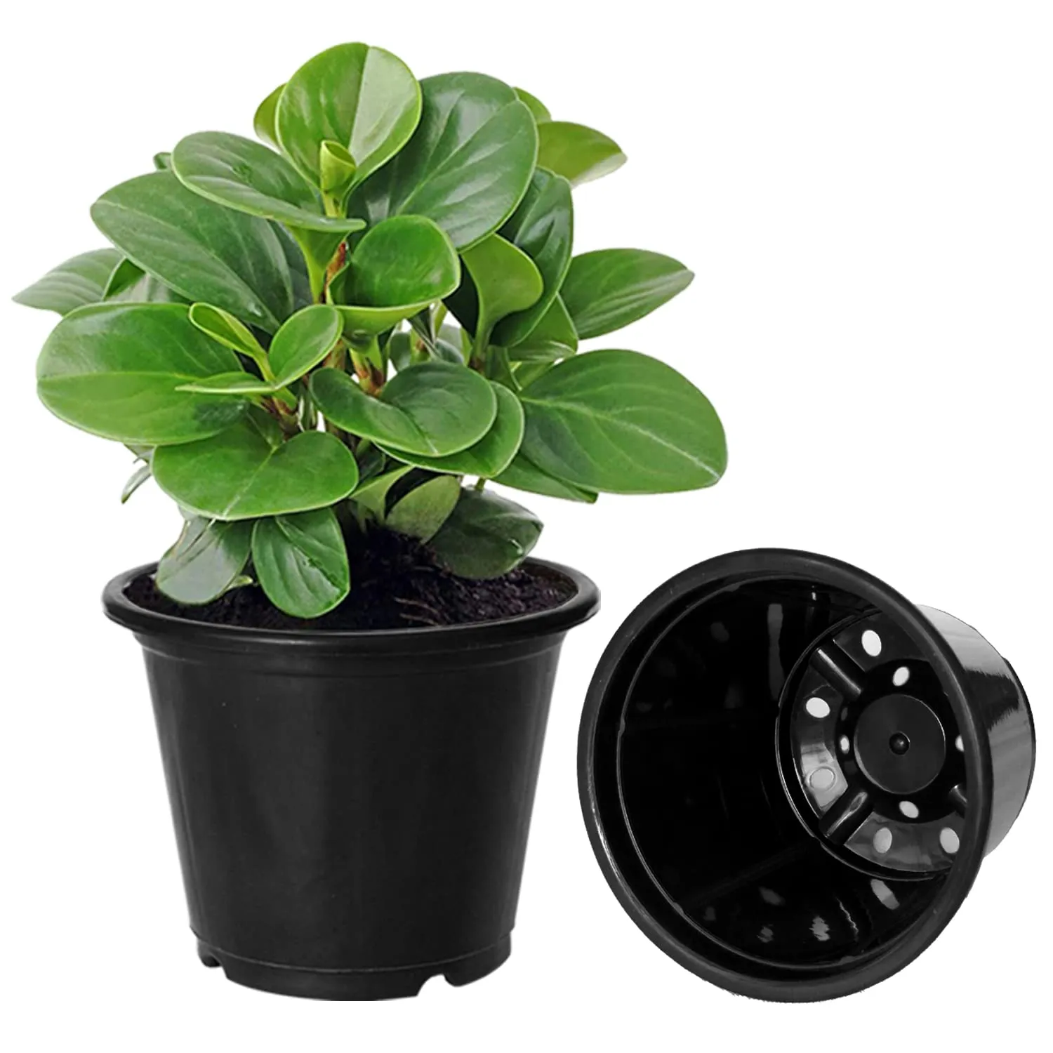 Heart Home Durable Plastic Flower Pot|Gamla with Drain Holes for Indoor Home Decor & Outdoor Balcony,Garden,6"x5",Pack of 5 (Black)