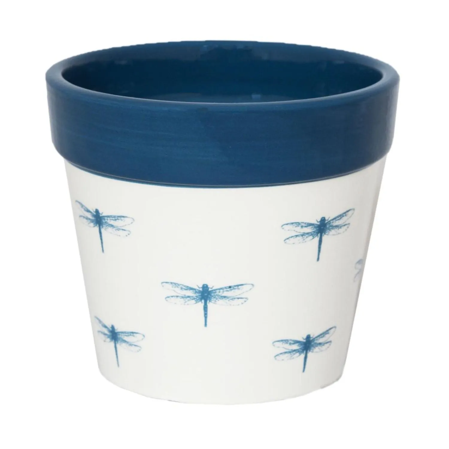 Ivyline 10cm Blue Cacti Dragonfly Planter