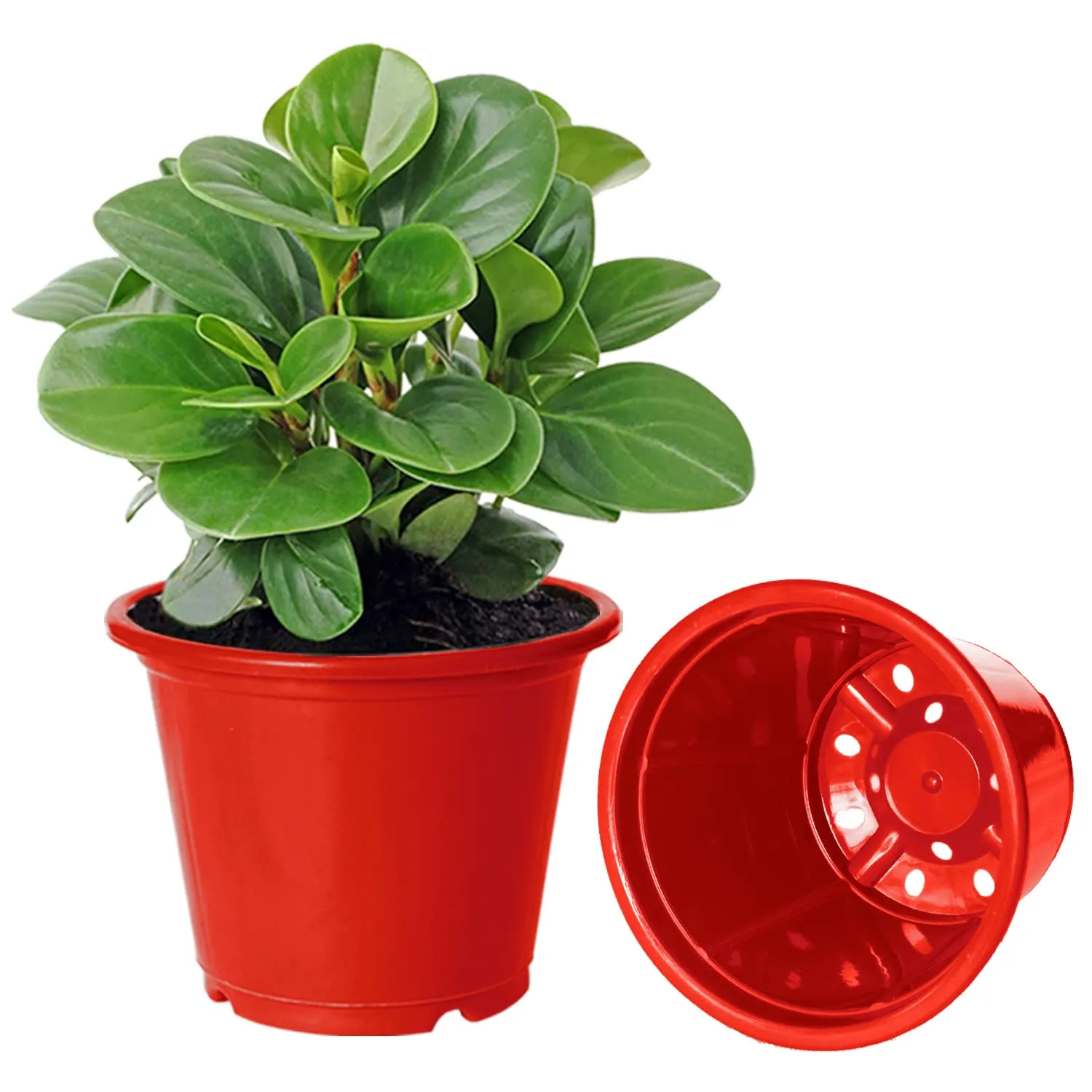 Kuber Industries Durable Plastic Flower Pot|Gamla for Indoor Home Decor & Outdoor Balcony,Garden,6"x5",Pack of 3 (Red,Black,Orange)