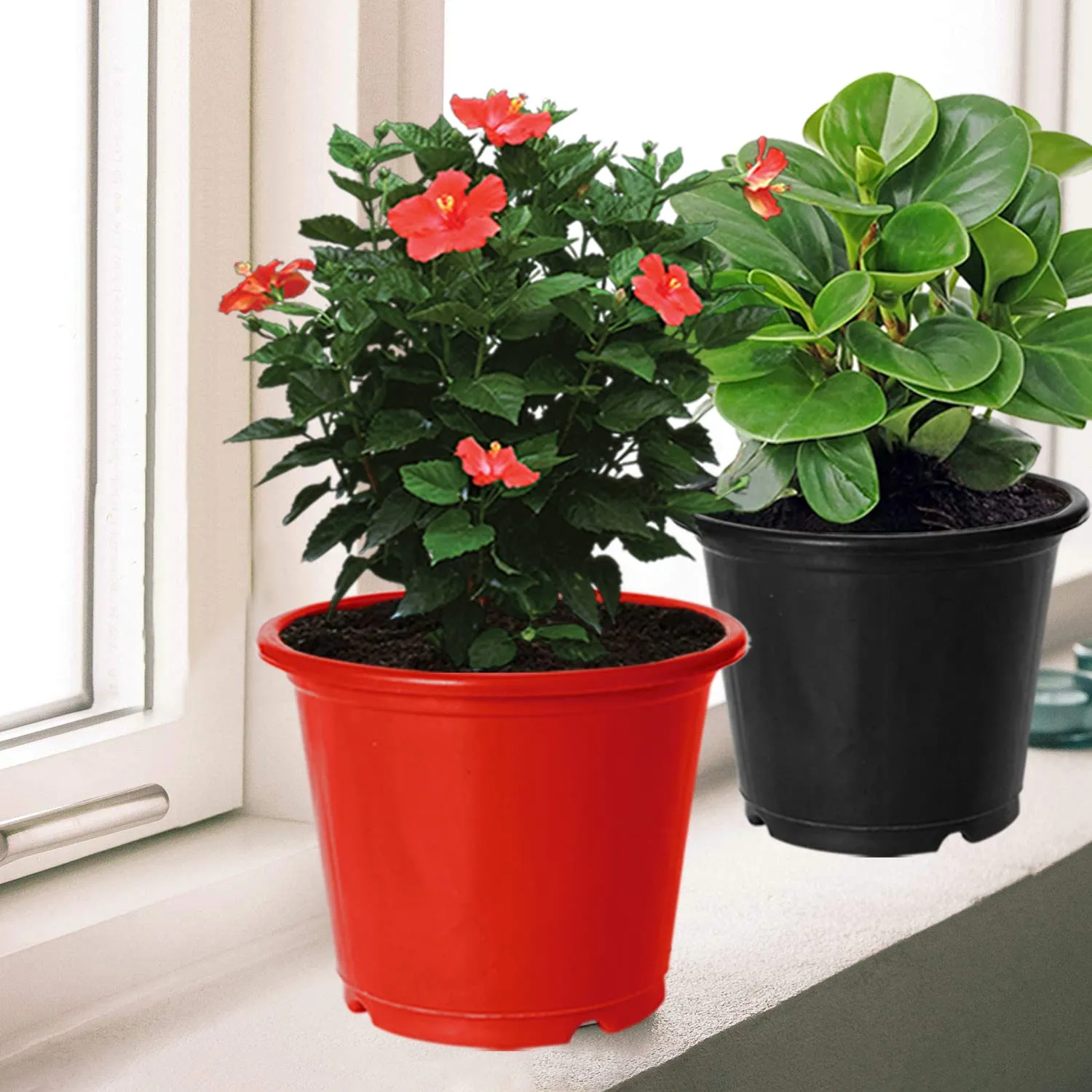 Kuber Industries Durable Plastic Flower Pot|Gamla for Indoor Home Decor & Outdoor Balcony,Garden,6"x5",Pack of 3 (Red,Black,Orange)