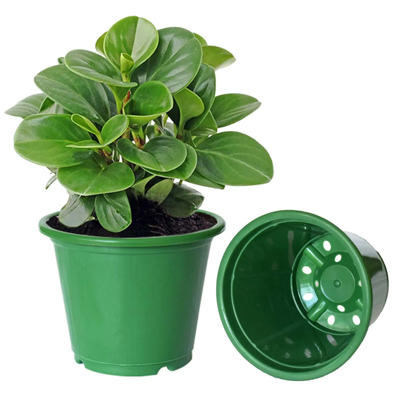 Kuber Industries Durable Plastic Flower Pot|Gamla with Drain Holes for Indoor Home Decor & Outdoor Balcony,Garden,6"x5",Pack of 10 (Green)