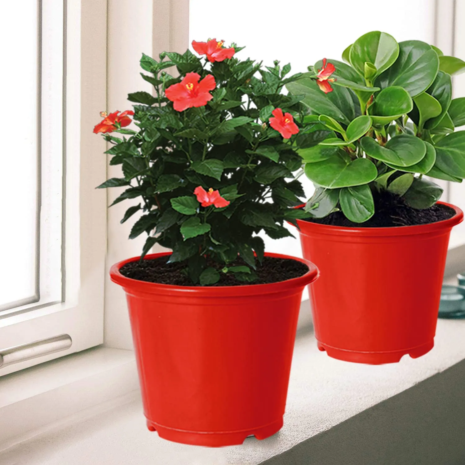 Kuber Industries Durable Plastic Flower Pot|Gamla with Drain Holes for Indoor Home Decor & Outdoor Balcony,Garden,6"x5",Pack of 10 (Red)