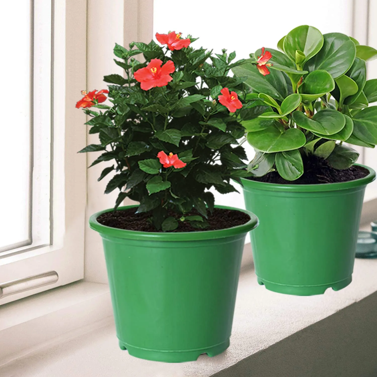 Kuber Industries Durable Plastic Flower Pot|Gamla with Drain Holes for Indoor Home Decor & Outdoor Balcony,Garden,6"x5",Pack of 3 (Green)