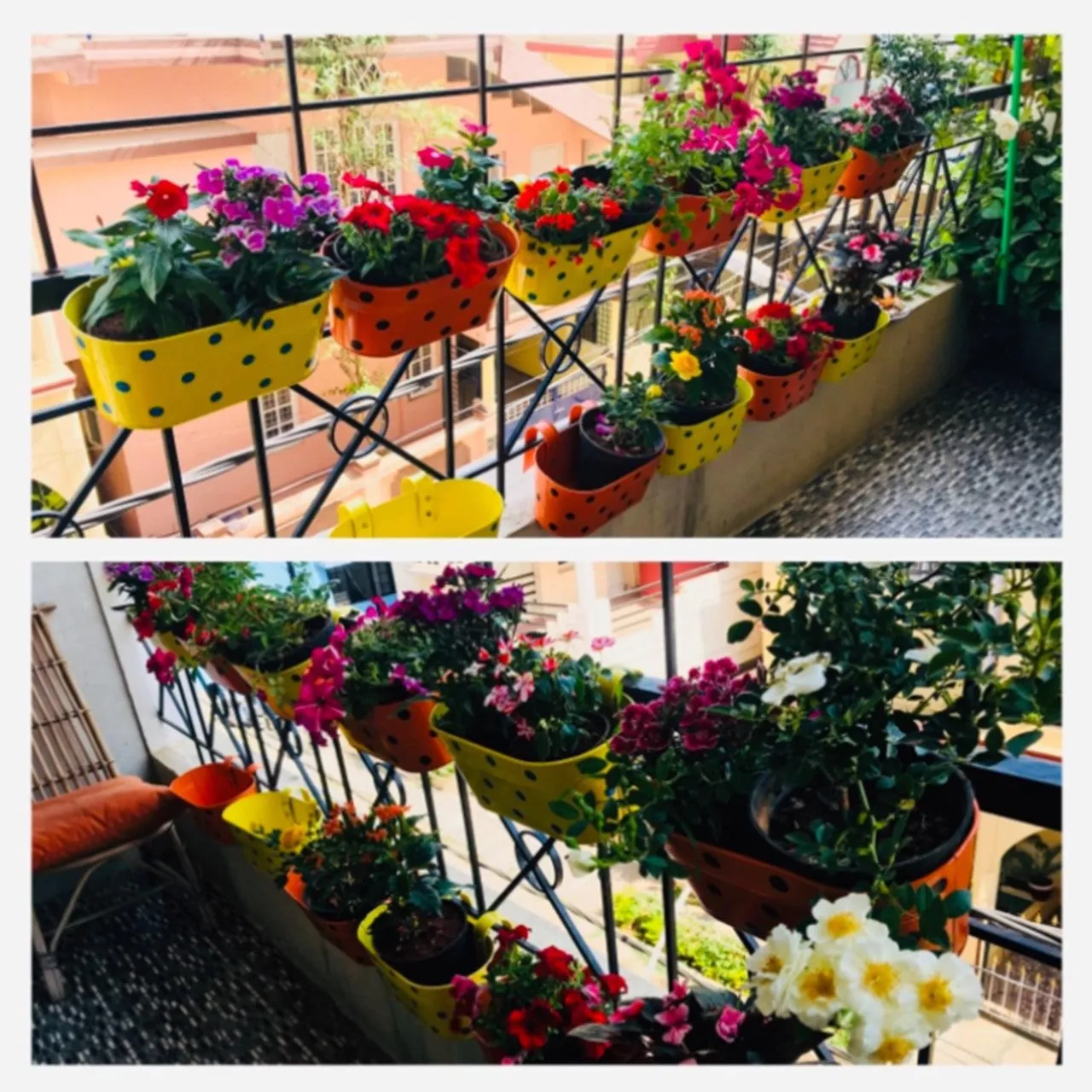 Oval Polka Dot Balcony Railing Planter