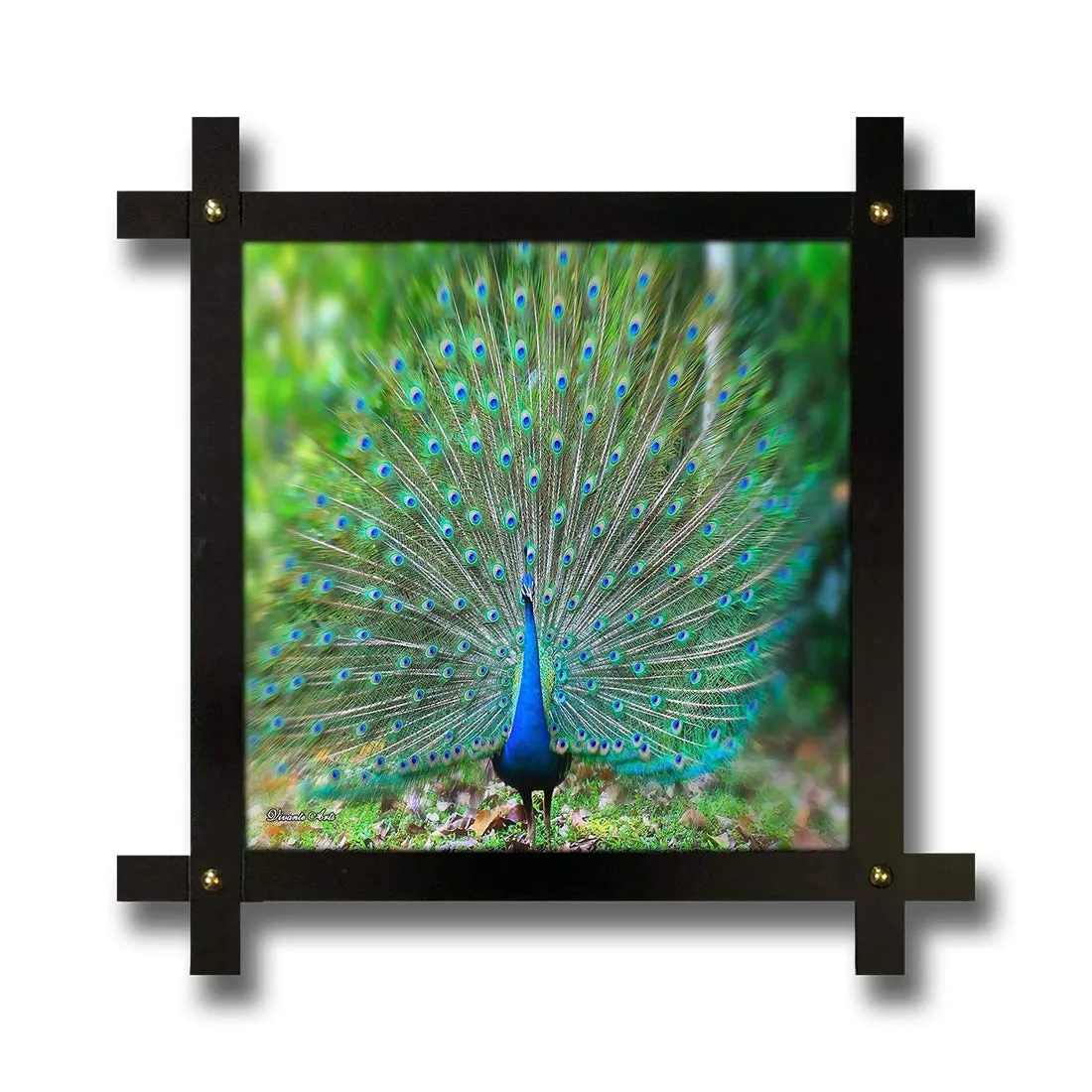 Poster N Frames Cross Wooden Frame Hand-Crafted with Photo of Peacock Size (16.5x16.5inch,Wood,Multicolour)